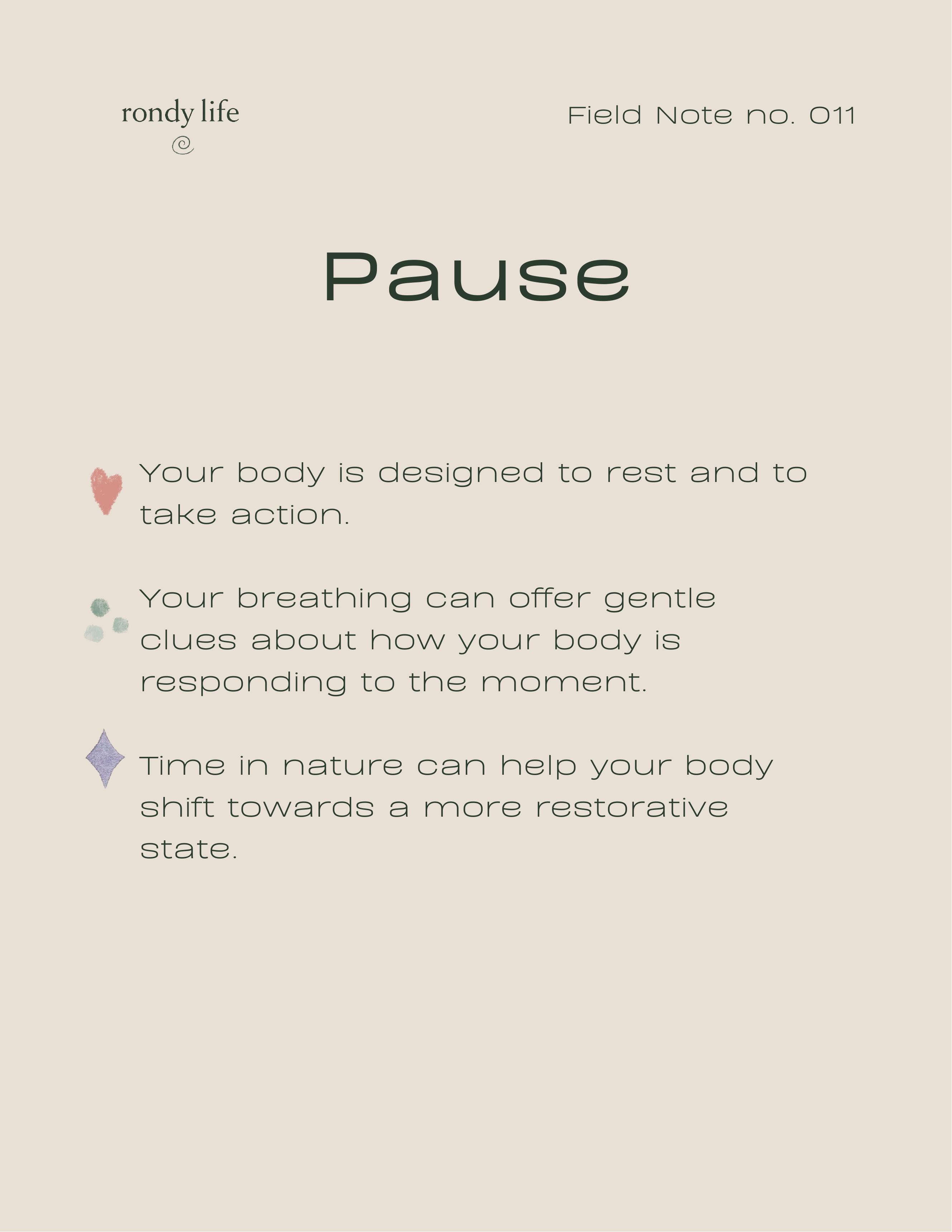 Field Note no. 011 — Pause. An editorial reflection on pausing, breath and returning to the body.